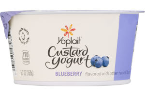 Yoplait Custard Yogurt Blueberry