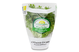 Салат свежий Фризе Galicia Greenery м/у 1шт