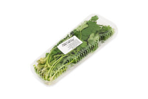 Кінза свіжа 50г блістер