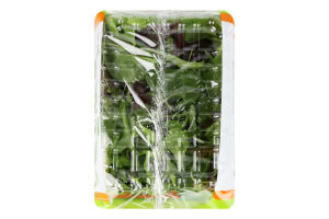 Салат Бэби Микс Пучок-Свіжачок м/у 75г