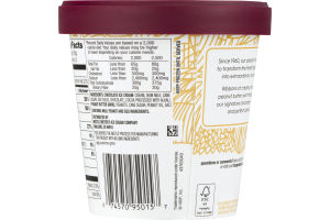 Haagen-Dazs Ice Cream Chocolate Peanut Butter