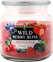 Свічка ароматична Wild berry 350г скло Пако ІФ