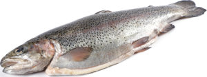Форель радужная потрошеная охлажденная ПР
