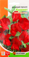 Насіння Квіти Духмяний горошок Кеннет червоний 1г Яскрава