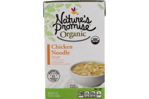 Nature's Promise Soup Chicken Noodle