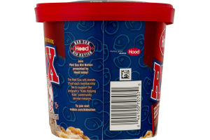 Hood Red Sox Ice Cream 7th Inning Stretch Peanut Crunch