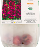 Цибулина Гладіолус Пламтарт 3шт Яскрава