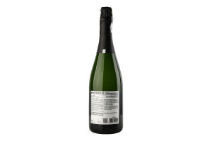 Вино ігристе WineTruck Cava Semi Seco біле