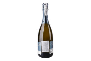 Вино игристое 0.75л 12% белое экстрасухое Pinot Noir Terre Bentivoglio бут