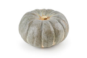 Гарбуз Славута мармуровий