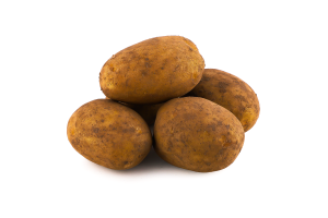 Картопля Мелоді