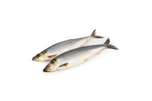 Оселедець пряного посолу охол. ваг