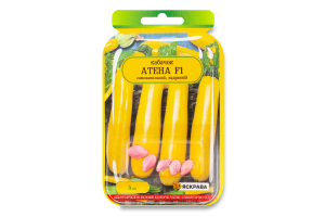 Насіння Кабачок Атена F1 інкрустоване 5шт Яскрава