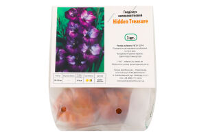 Цибулина Гладіолус Хайден Треже 3шт Яскрава