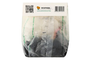 Цибулина Лілія OT Вілла бланка гігантська гібрид Яскрава