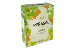 Вино Penasol Verdejo BiB