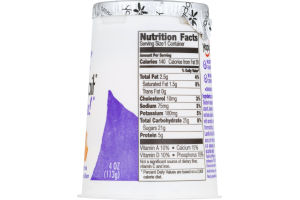 Yoplait Whips! Lowfat Mousse Yogurt Orange Creme