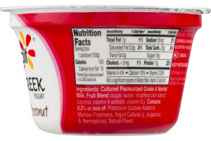 Yoplait Low Fat Greek Yogurt Coconut