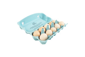 Яйца куриные C2 Шаничі к/у 10шт