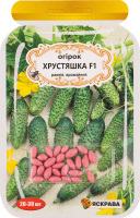 Насіння Огірок Хрустяшка F1 дражоване 3г Яскрава