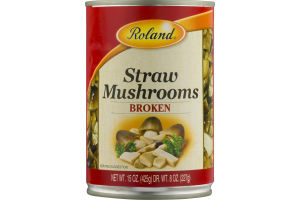 Roland Straw Mushrooms Broken