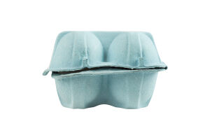 Яйца куриные C2 Шаничі к/у 10шт