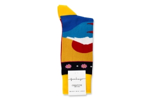 Шкарпетки Feeelings Creative №470 41-46 Японія