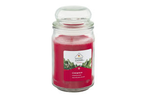 Smart Living Holiday Fragranced Candle Cinnamon