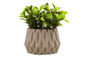 Вазон декоративний з рослиною призматичний 18*10*10см в асортименті BMG