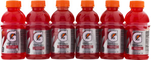 Gatorade Thirst Quencher Fruit Punch - 12 PK