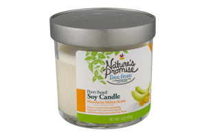 Nature's Promise Soy Candle Mandarin Melon