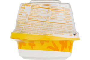 Yoplait Dippers Greek Nonfat Yogurt Vanilla Bean + Honey Oat Crisps