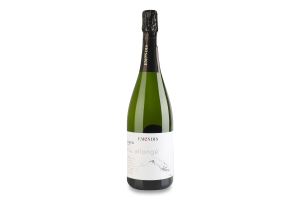 Вино игристое 0.75л 11.5% белое сухое виноградное DO Nu allonge Brut Cava Emendis бут