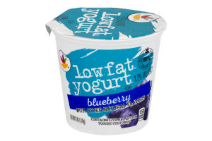 Ahold Lowfat Yogurt Blueberry