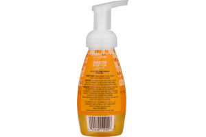 CareOne Foaming Hand Soap Mangosteen Papaya