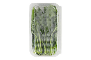 Шпинат пучок