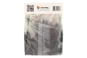 Цибулина Лілія Каса Бланка орієнтальна Яскрава