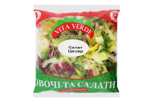 Салат Цезар 480г