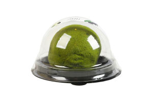 Печенье жевательное Матча Honey п/у 50г