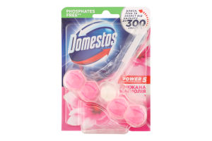 Блок для очищення унітаза Крижана магнолія Power 5 Domestos 55г