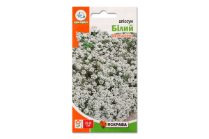 Насіння Квіти Аллiсум бiлий 0,2г Яскрава