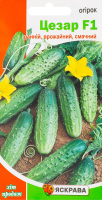 Насіння Огірок Цезар F1 0,5г Яскрава