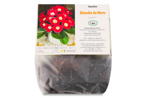 Бульба Глоксінія Бланш де Меру Яскрава