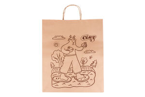 Пакет паперовий з ручками Премія 1шт