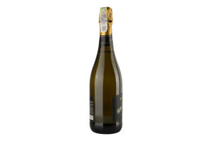 Вино 0.75л 10.2-11.8% белое сухое Brut Cantine San Gaudenzio бут
