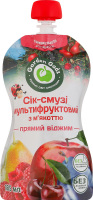 Сік-смузі прямий віджим з м'якоттю стерилізований мультифруктовий Garden Gadz д/п 185мл