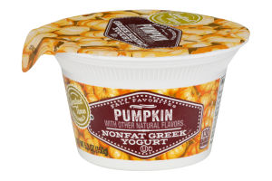 Ahold Greek Nonfat Yogurt Pumpkin