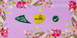 Салфетки косметические 2-х слойные 200х205мм Ecolo 100шт