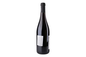Вино 750мл 13% червоне сухе Merlot Inwinectus пл