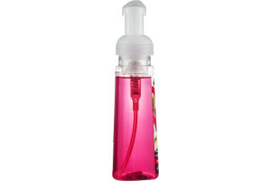 CareOne Antibacterial Foaming Hand Soap Country Apple